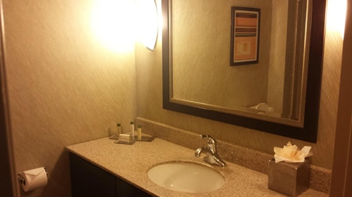 King Room Near American Medical Response HOU 1 Luxury Bookings