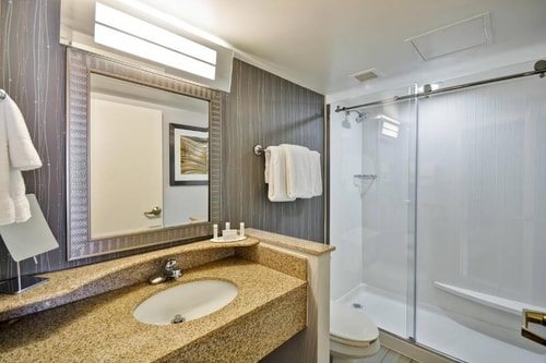 King Room Near Terry Hershey Park HOU 1 Luxury Bookings