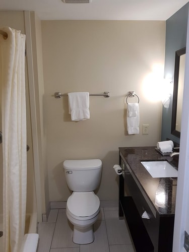 King Room Near Tradesmen International HOU 2 Luxury Bookings