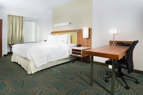 King Studio Near Collins Elementary School HOU 1 Luxury Bookings