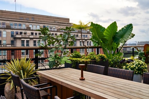 Cabin King Near Bloomberg Government WDC 13 Luxury Bookings