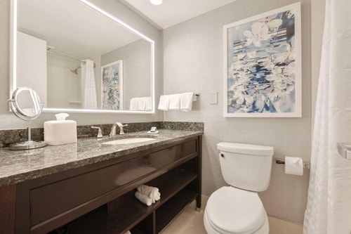 Deluxe Room Near Metro Center Station WDC 3 Luxury Bookings