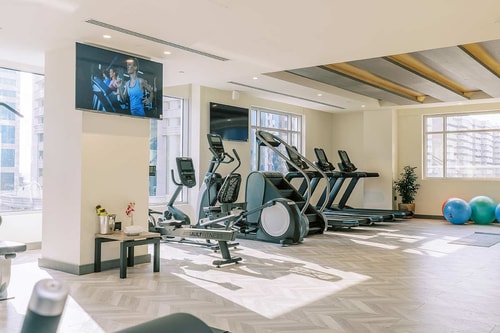 2 Bedroom Suite Pet Allowed Near Dubai Creek Plaza 18 Luxury Bookings