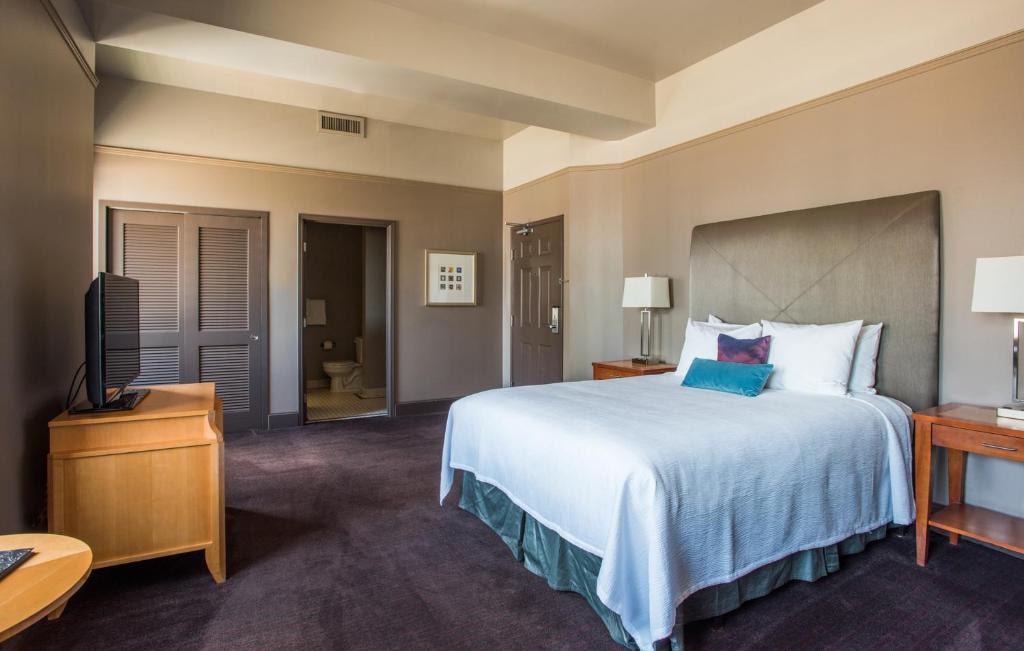 Deluxe Queen Room Near Dallas World Aquarium DAL Luxury Bookings