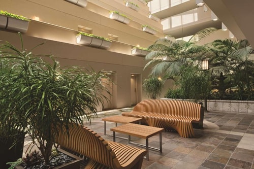 King Room Near Budget Car Rental ORL 8 Luxury Bookings