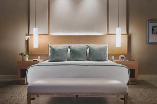 Deluxe Spa King Room Near The Wrigley Building CHI Luxury Bookings