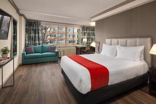 Studio Queen Near Charity Donation Foundation WDC Luxury Bookings