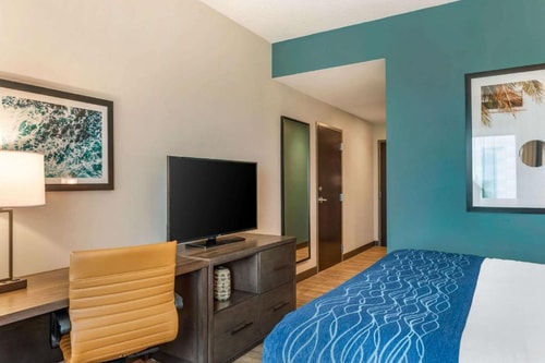 King Room Near Ram Air Sales MIA 2 Luxury Bookings