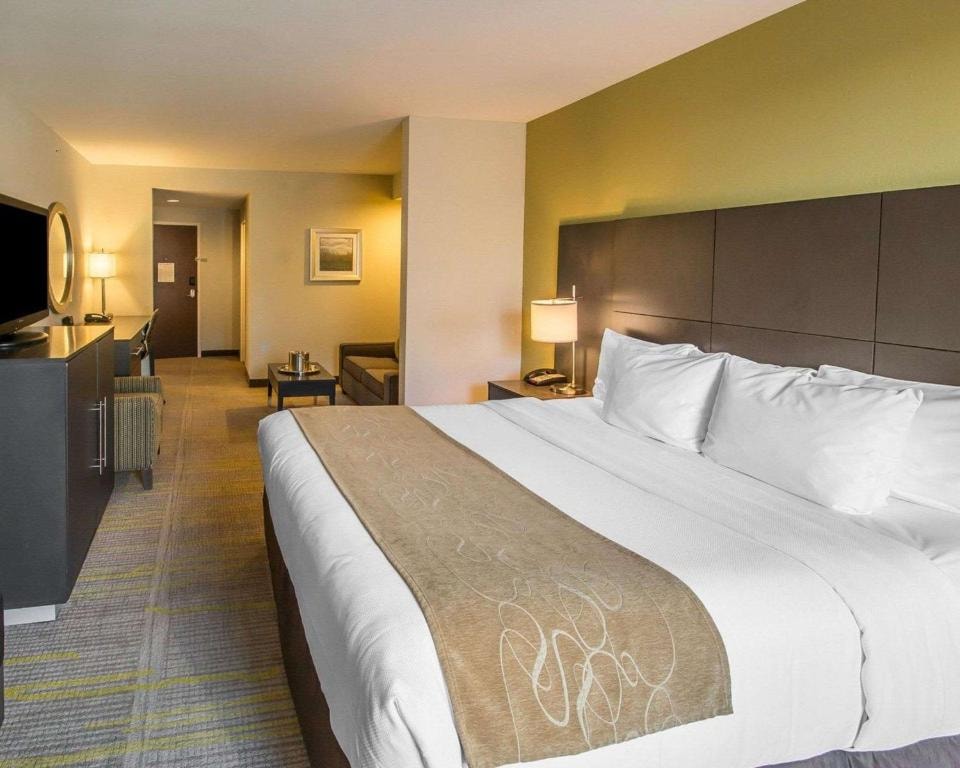 King Suite Near Royal Movers Miami Broward Luxury Bookings