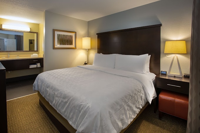 1 Bedroom Queen Suite Near ABC Fine Wine ORL Luxury Bookings