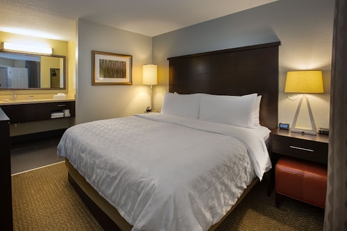 1 Bedroom Queen Suite Near ABC Fine Wine ORL Luxury Bookings