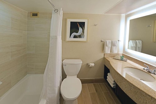 King Room Near BioPlus Specialty Pharmacy ORL 3 Luxury Bookings