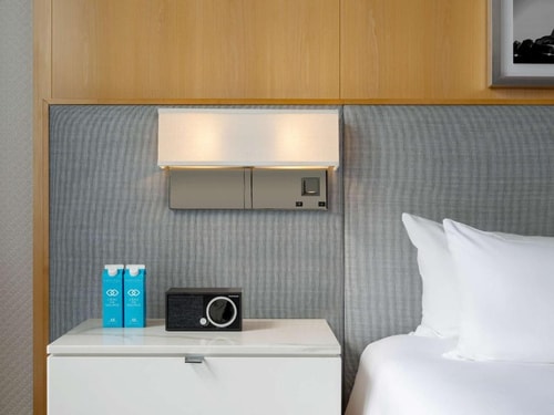 Luxury King Room Near Connors William Park CHI 4 Luxury Bookings