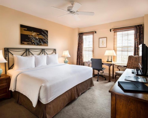 King Room Near Foggy Bottom GWU Metro station WDC Luxury Bookings