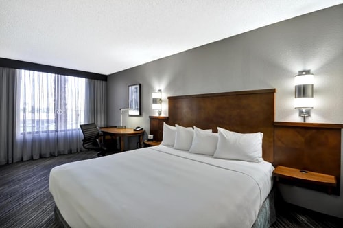 King Room Near Intramural Field LAS 1 Luxury Bookings