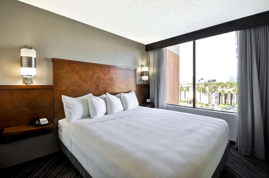 King Room Near Intramural Field LAS Luxury Bookings