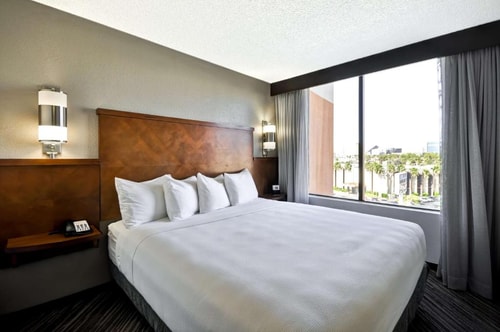 King Room Near Intramural Field LAS Luxury Bookings
