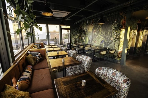 Classic Twin Room Near Tree House Rooftop WDC 9 Luxury Bookings