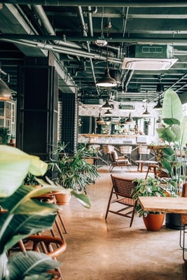 Classic Twin Room Near Tree House Rooftop WDC 7 Luxury Bookings