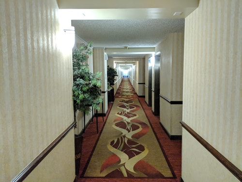 Studio Suite Near Oracle ORL 9 Luxury Bookings