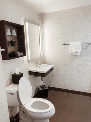 King Room Near Wolferts Corner Bar CHI 4 Luxury Bookings