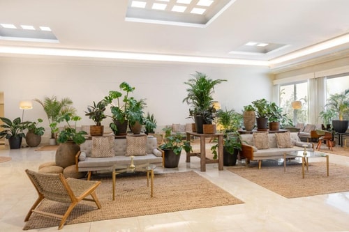 Standard Queen Room Near Tickets of America MIA 13 Luxury Bookings