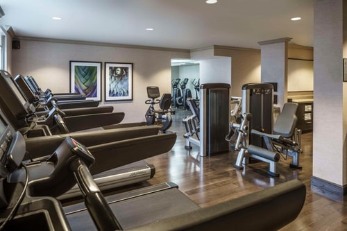 King Room Near Coral Gables Museum MIA 14 Luxury Bookings