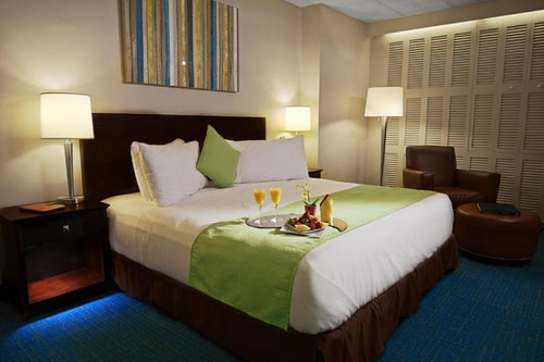 Standard King Room Near  Florida Lottery MIA Luxury Bookings