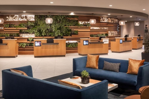 Luxury Furnished Guest Room Near Starbucks LAS 8 Luxury Bookings