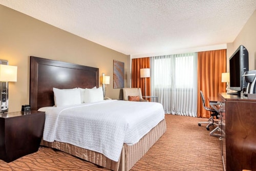 Deluxe King Room Near Bored Cuban MIA Luxury Bookings