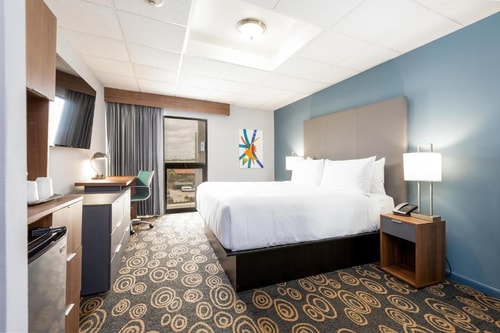 Standard King Room Near Latin Cafe 2000 MIA Luxury Bookings