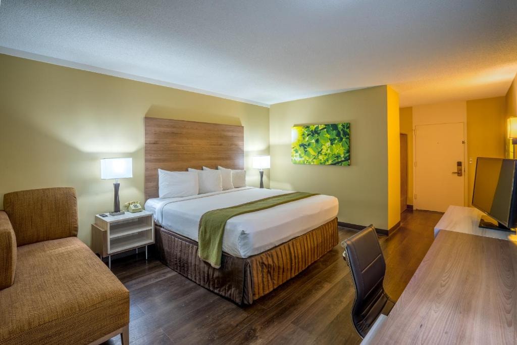 Executive King Room Near Jawbreaker juice WDC Luxury Bookings