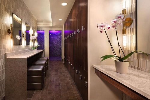 King Room Near State Street Dental Specialist CHI 11 Luxury Bookings