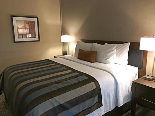 King Room Near BoxOn Logistics Software MIA 1 Luxury Bookings