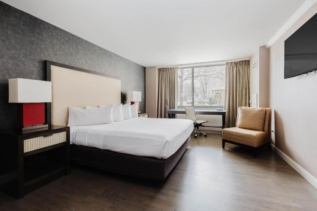 Junior Studio Near Egyptian Defense Office WDC Luxury Bookings