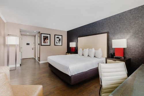 Junior Studio Near Egyptian Defense Office WDC 1 Luxury Bookings