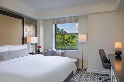 King Room Near Ride in Central Park NYCRide in Central Park NYC 1 Luxury Bookings