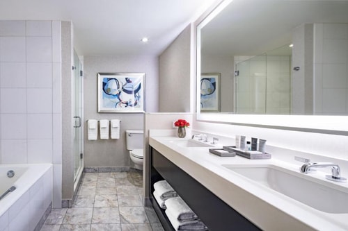 King Room Near Ride in Central Park NYCRide in Central Park NYC 5 Luxury Bookings