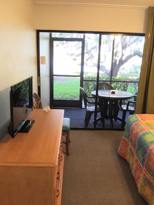 One Bedroom Apartment Near Lake Wilson ORL 4 Luxury Bookings