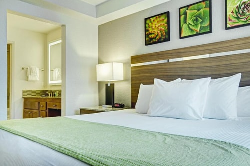 One Bedroom Suite Near Onyx Apartments LAS 3 Luxury Bookings