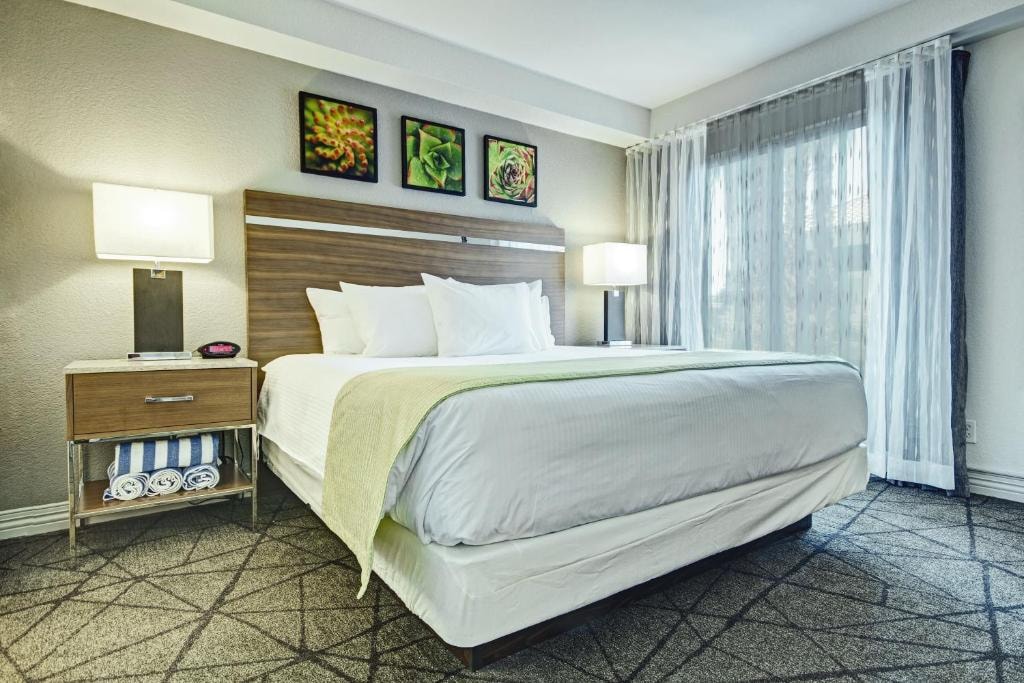 One Bedroom Suite Near Onyx Apartments LAS Luxury Bookings