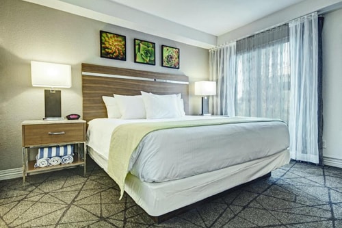 One Bedroom Suite Near Onyx Apartments LAS Luxury Bookings