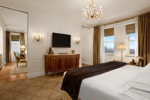 Plaza Room Near Fraunces Tavern NYC 2 Luxury Bookings