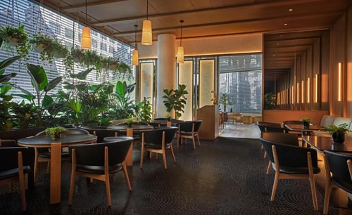 Double Room Near Zou Zou's NYC 8 Luxury Bookings