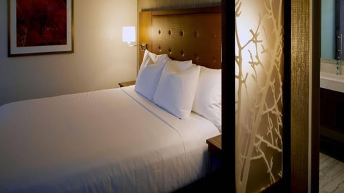 King Room Near Bass Pro Shops LAS 1 Luxury Bookings