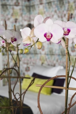 Queen Room Near T-Mobile NYC 5 Luxury Bookings
