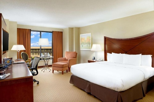 King Room Near Hilton Gift Shop WDC 1 Luxury Bookings