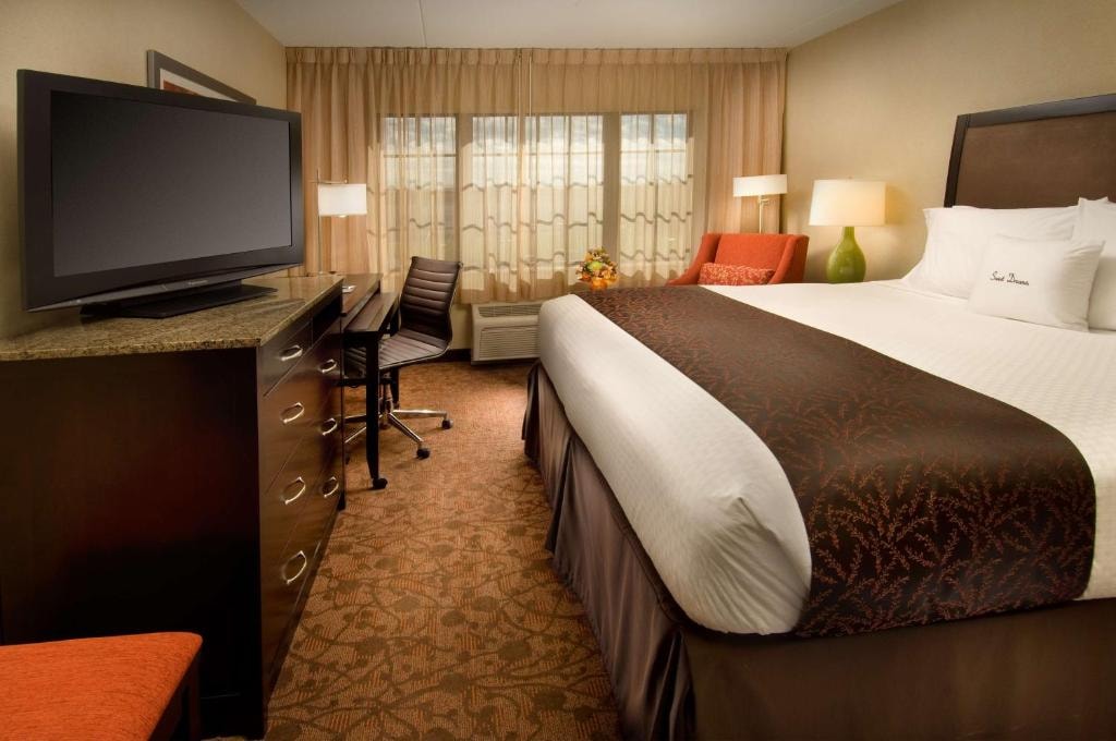 King Room Near Dulles Gymnastics WDC Luxury Bookings