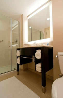 King Room Near Dulles Gymnastics WDC 5 Luxury Bookings