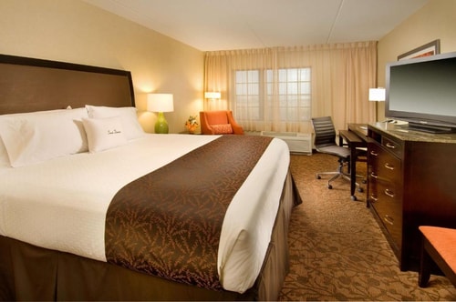 King Room Near Dulles Gymnastics WDC 1 Luxury Bookings